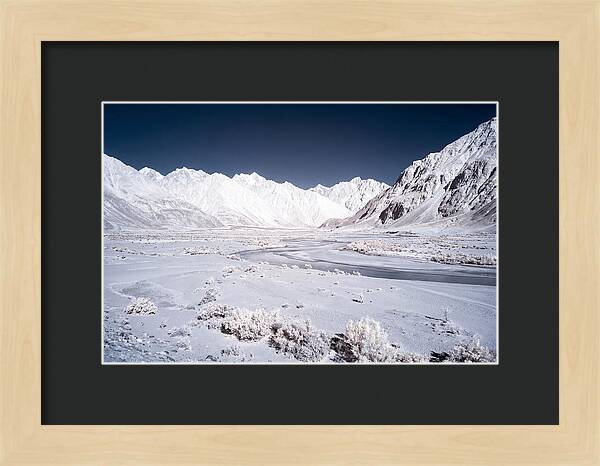 Tranquil Moments In Nubra Valley