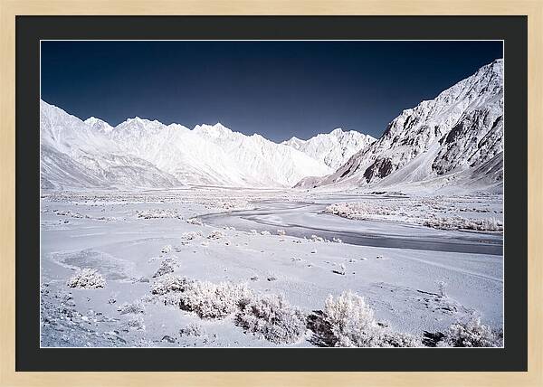 Tranquil Moments In Nubra Valley