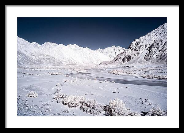 Tranquil Moments In Nubra Valley