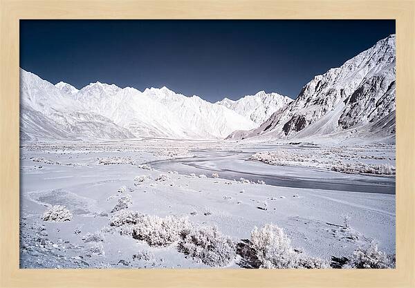 Tranquil Moments In Nubra Valley