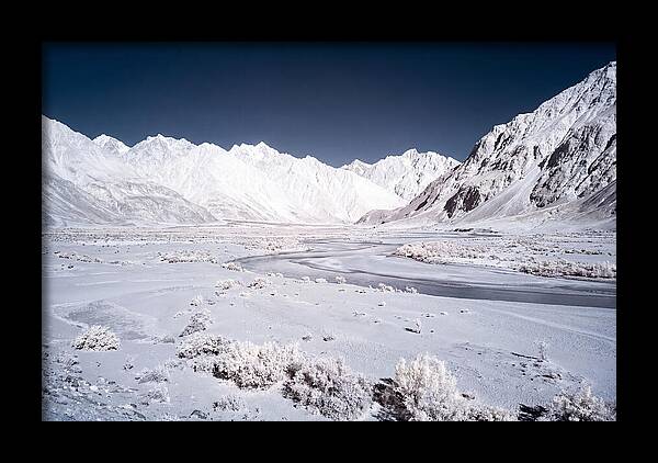 Tranquil Moments In Nubra Valley
