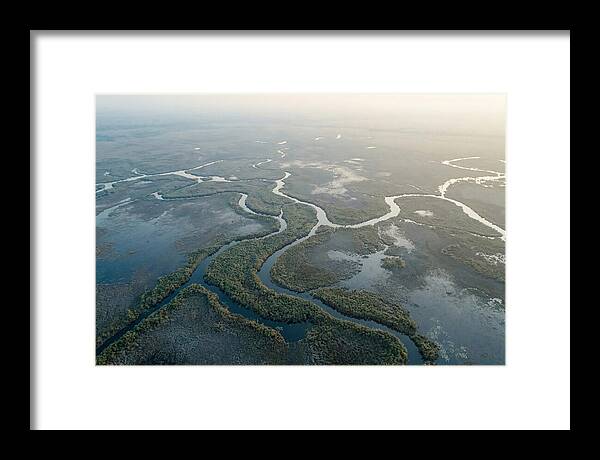Tranquil Moments In Okavango Delta