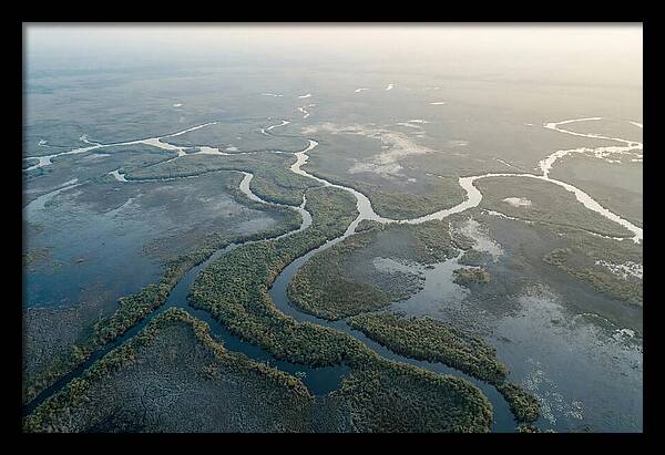 Tranquil Moments In Okavango Delta