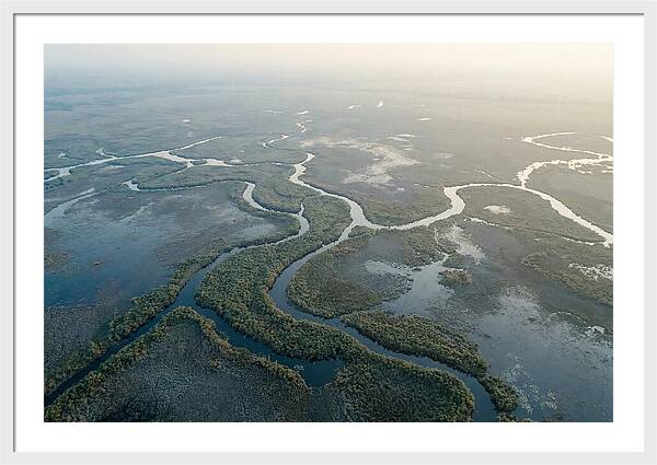 Tranquil Moments In Okavango Delta