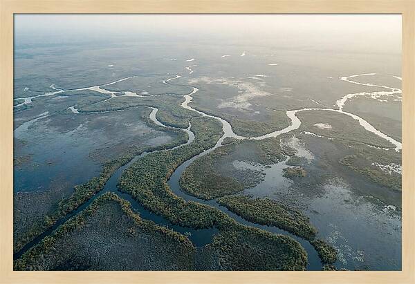 Tranquil Moments In Okavango Delta