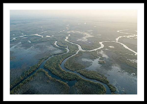 Tranquil Moments In Okavango Delta