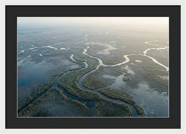 Tranquil Moments In Okavango Delta