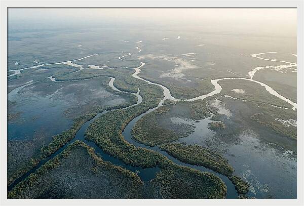 Tranquil Moments In Okavango Delta