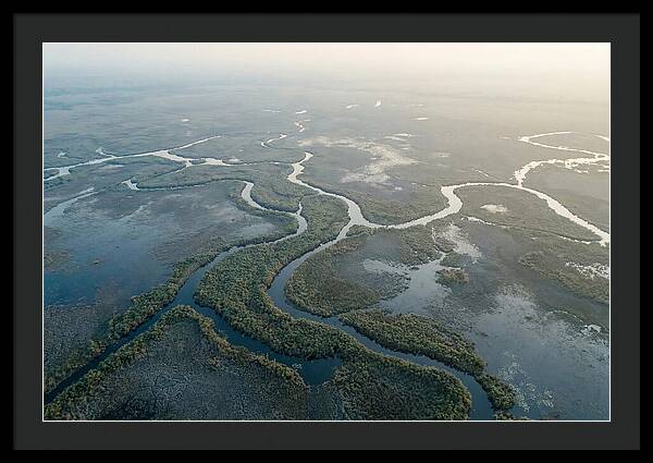 Tranquil Moments In Okavango Delta