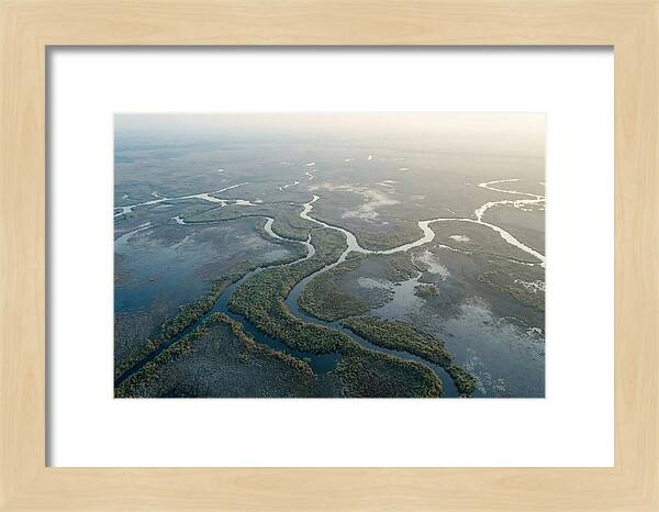 Tranquil Moments In Okavango Delta