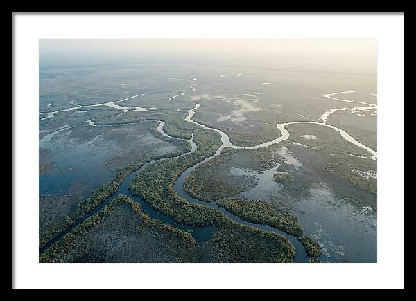 Tranquil Moments In Okavango Delta
