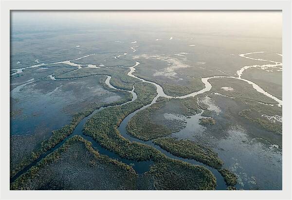Tranquil Moments In Okavango Delta