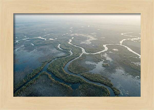 Tranquil Moments In Okavango Delta
