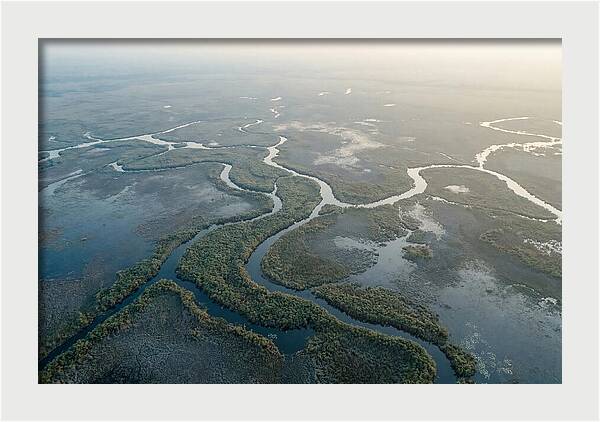 Tranquil Moments In Okavango Delta