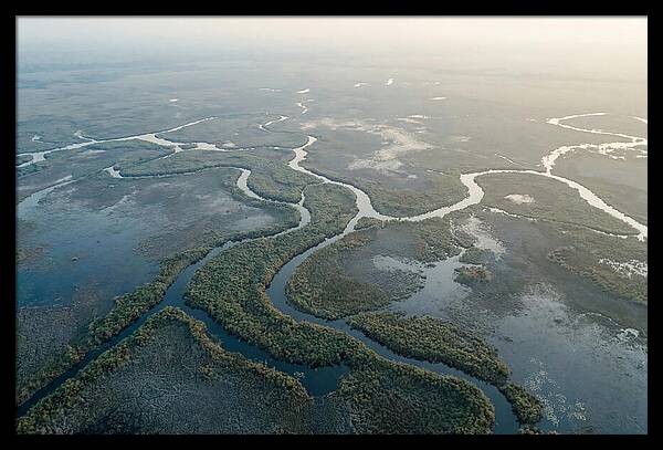 Tranquil Moments In Okavango Delta