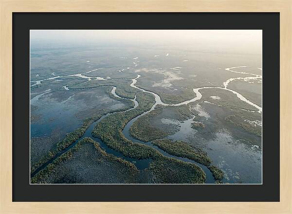 Tranquil Moments In Okavango Delta