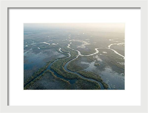 Tranquil Moments In Okavango Delta