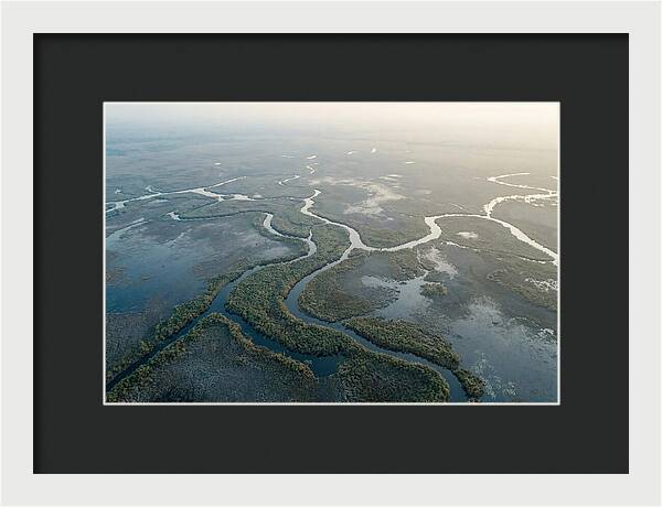 Tranquil Moments In Okavango Delta