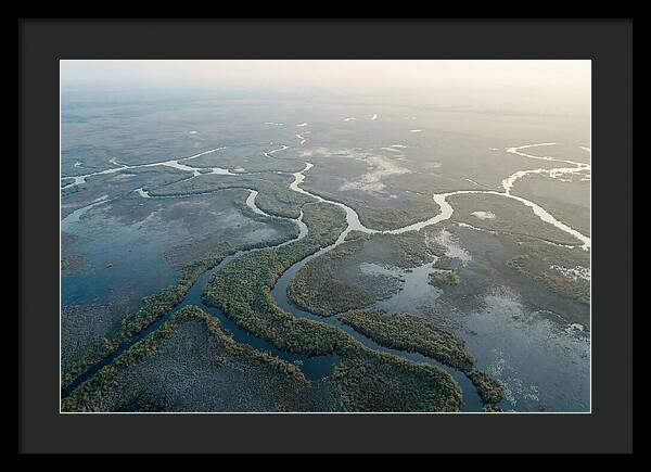 Tranquil Moments In Okavango Delta