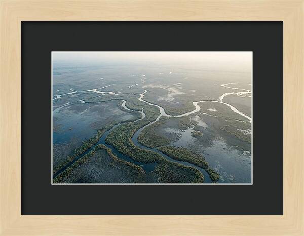Tranquil Moments In Okavango Delta