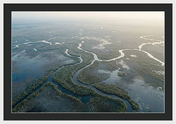 Tranquil Moments In Okavango Delta