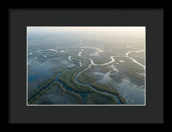 Tranquil Moments In Okavango Delta