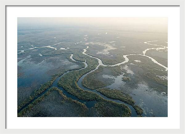 Tranquil Moments In Okavango Delta