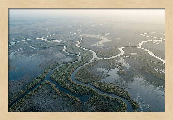 Tranquil Moments In Okavango Delta