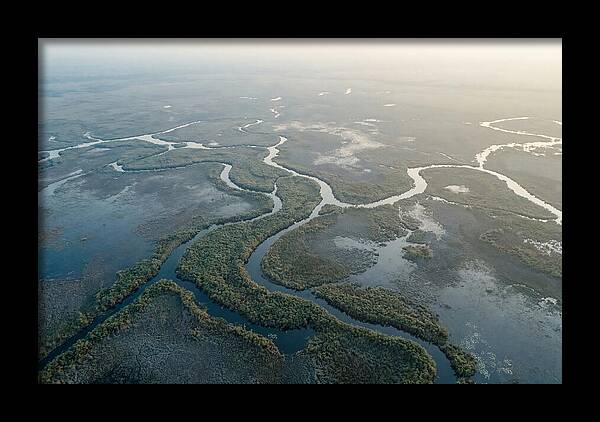 Tranquil Moments In Okavango Delta
