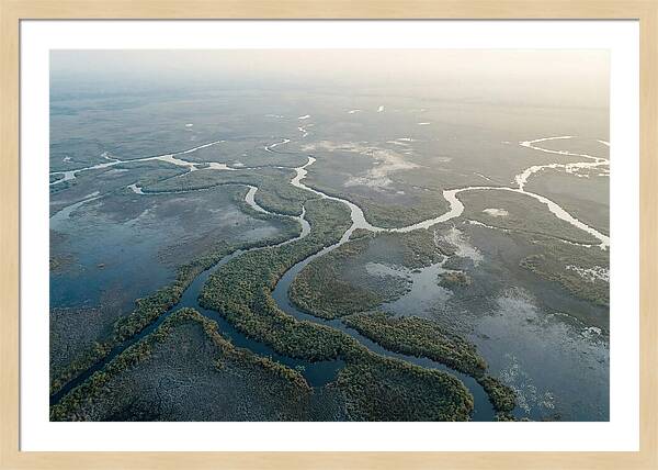 Tranquil Moments In Okavango Delta