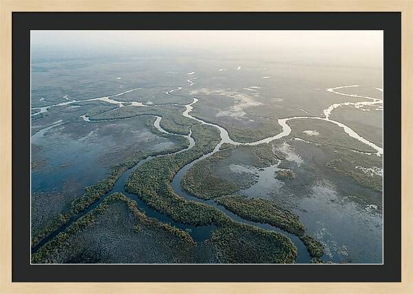 Tranquil Moments In Okavango Delta