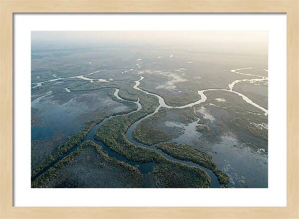 Tranquil Moments In Okavango Delta