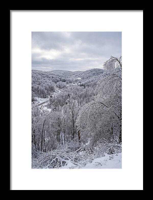 Tranquil Moments In Winter