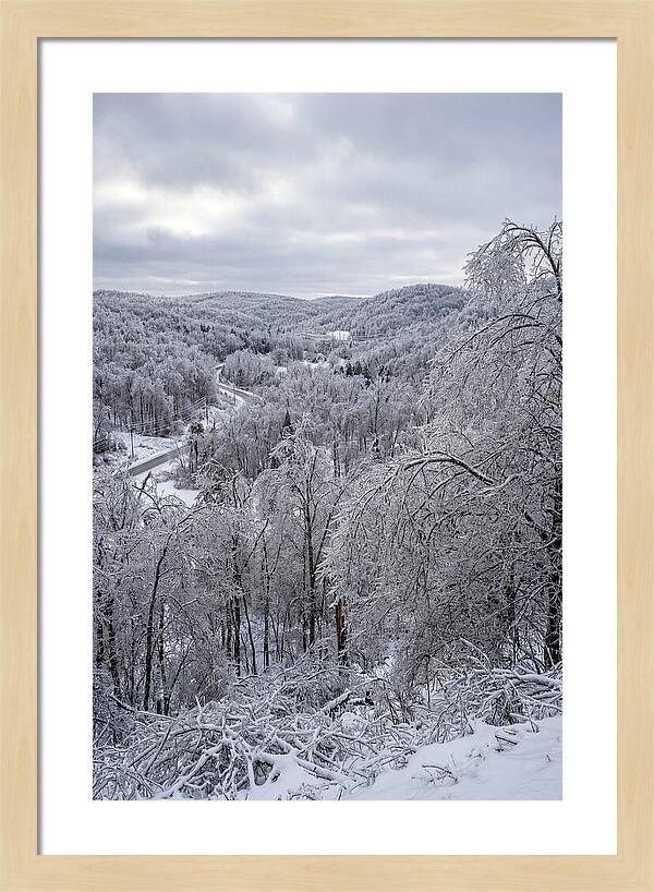 Tranquil Moments In Winter
