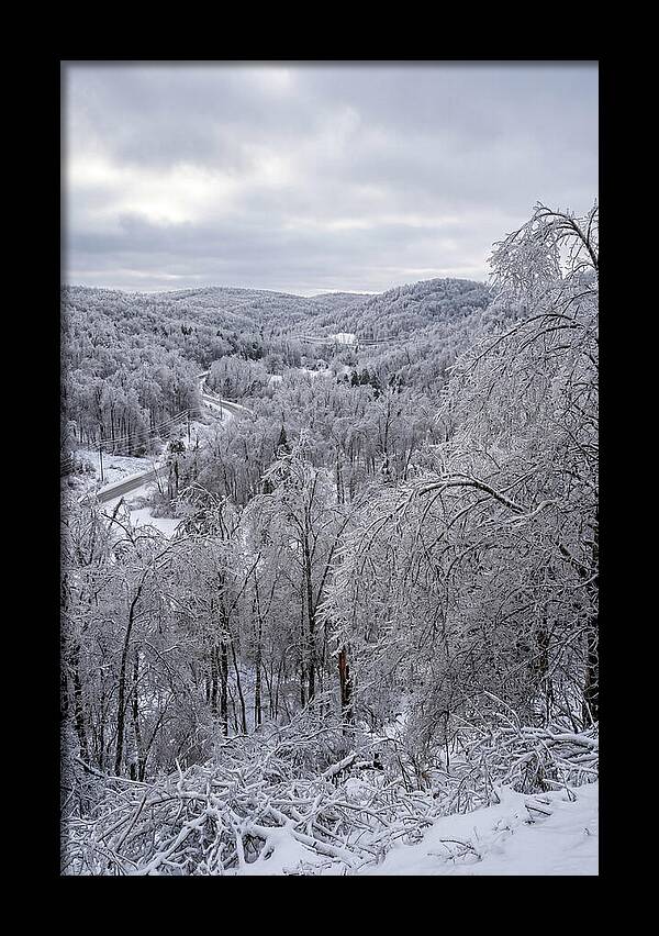 Tranquil Moments In Winter