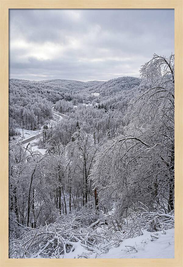 Tranquil Moments In Winter