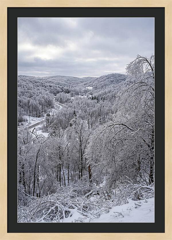 Tranquil Moments In Winter
