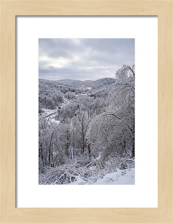 Tranquil Moments In Winter
