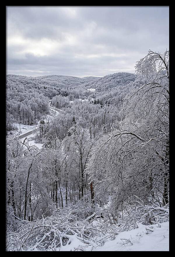 Tranquil Moments In Winter