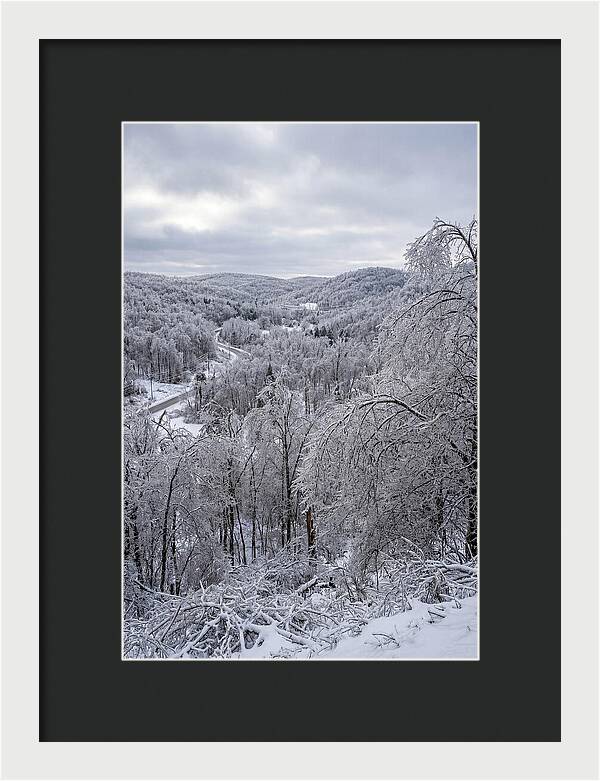 Tranquil Moments In Winter