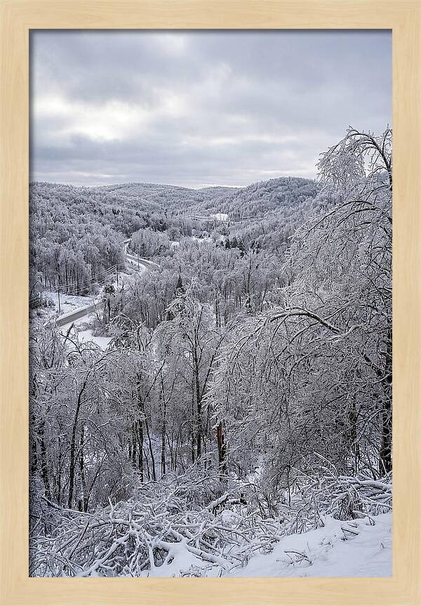 Tranquil Moments In Winter