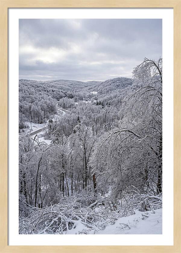Tranquil Moments In Winter