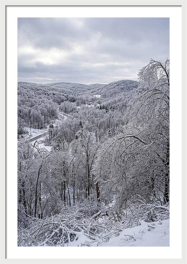 Tranquil Moments In Winter