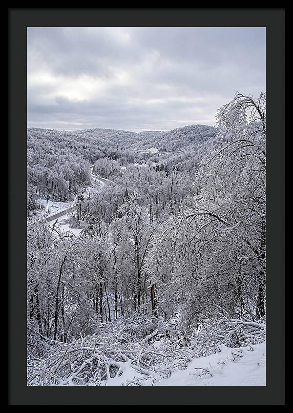 Tranquil Moments In Winter