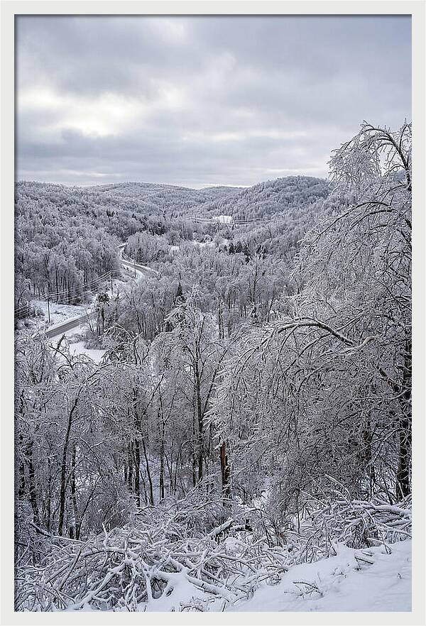 Tranquil Moments In Winter