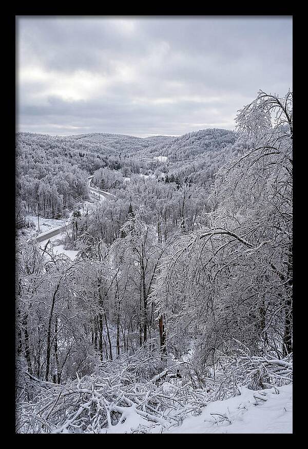 Tranquil Moments In Winter