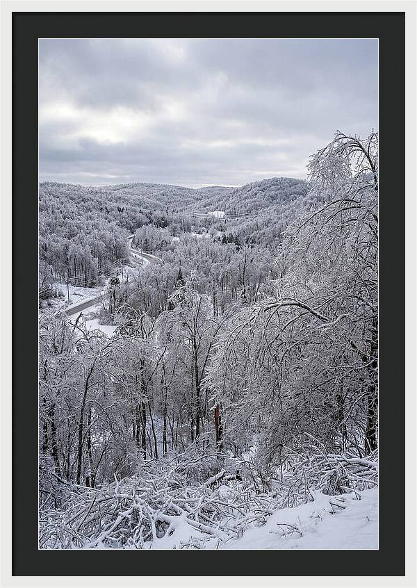 Tranquil Moments In Winter