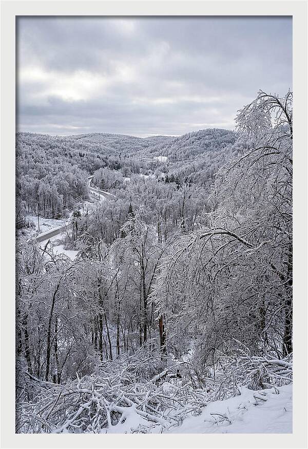 Tranquil Moments In Winter