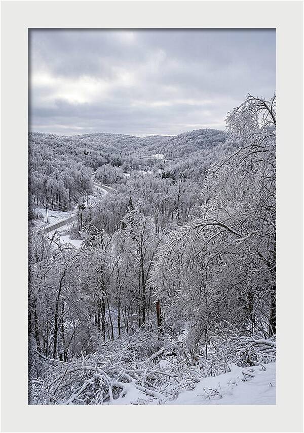 Tranquil Moments In Winter