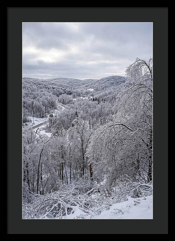 Tranquil Moments In Winter